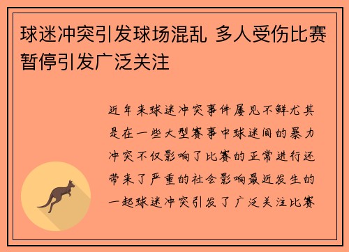 球迷冲突引发球场混乱 多人受伤比赛暂停引发广泛关注